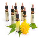 Homeopathy Clinic